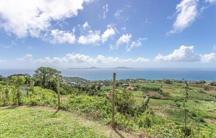 L'Ilot Fruits Guadeloupe Villa Trois-Rivières Dış mekan fotoğraf