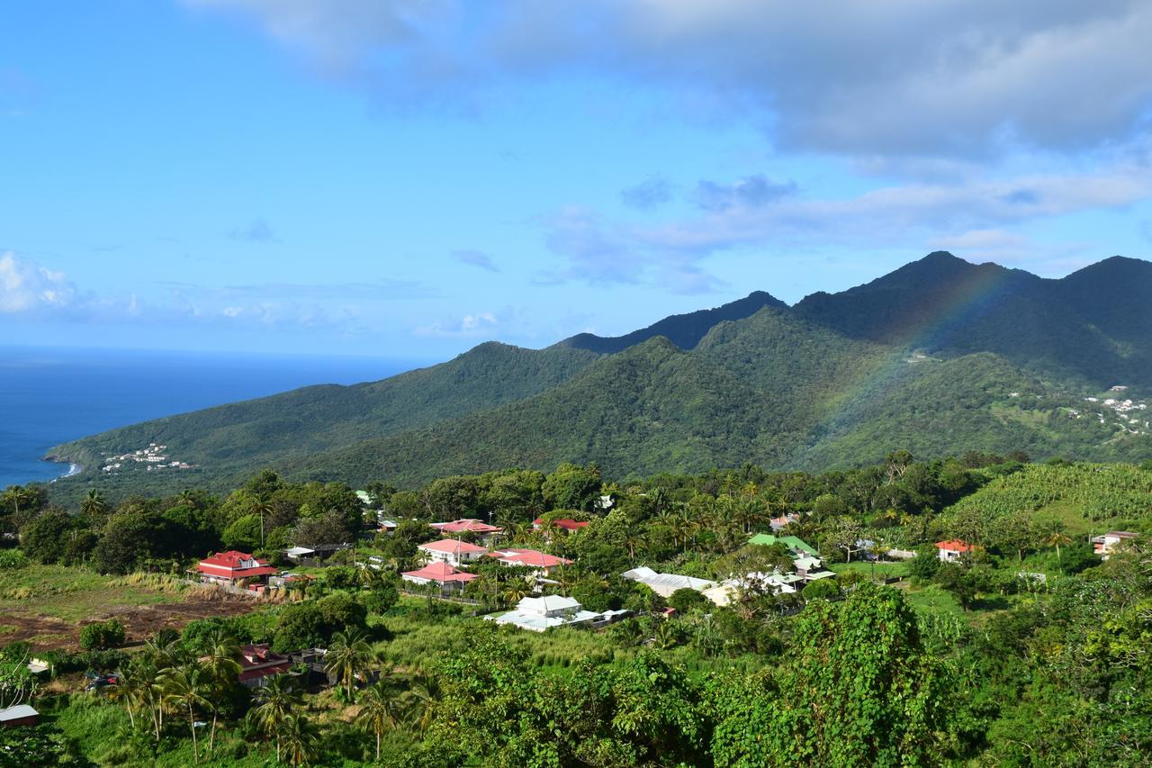 L'Ilot Fruits Guadeloupe Villa Trois-Rivières Dış mekan fotoğraf