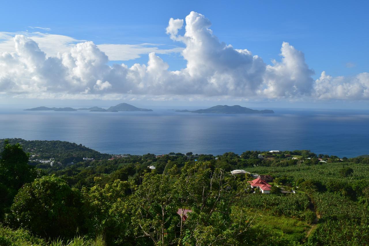 L'Ilot Fruits Guadeloupe Villa Trois-Rivières Dış mekan fotoğraf